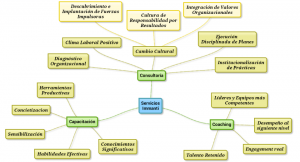 Mapa mental_ Servicios Immanti