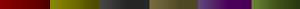Tira colores imm